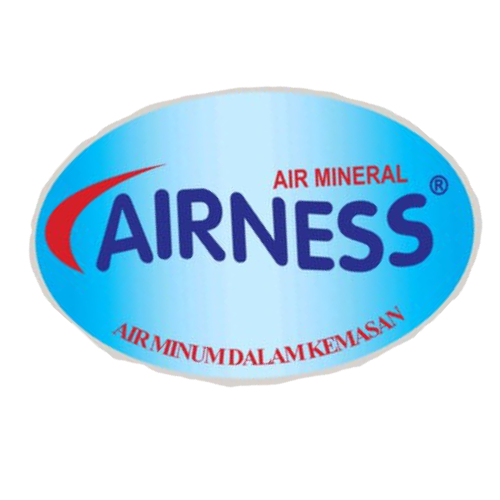 Logo - Airness (1)